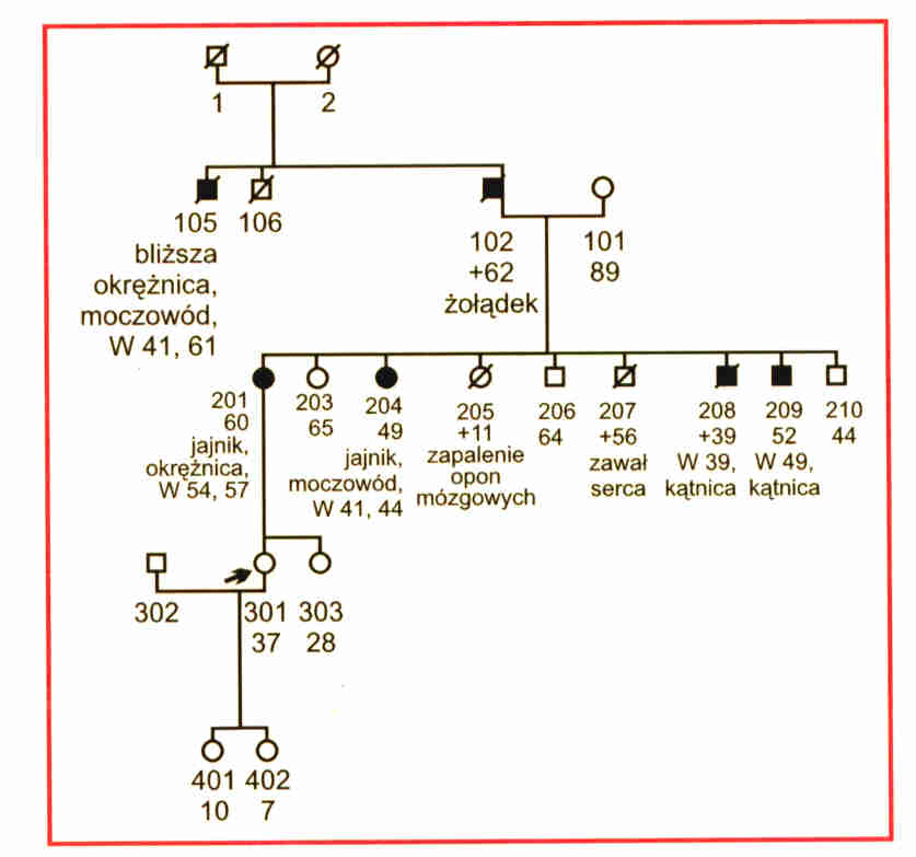 Ryc. 1. Rodzina z HNPCC (hereditary non polyposis colon cancer) - zespołem, który jest związany z umiejscowionym na 3 c