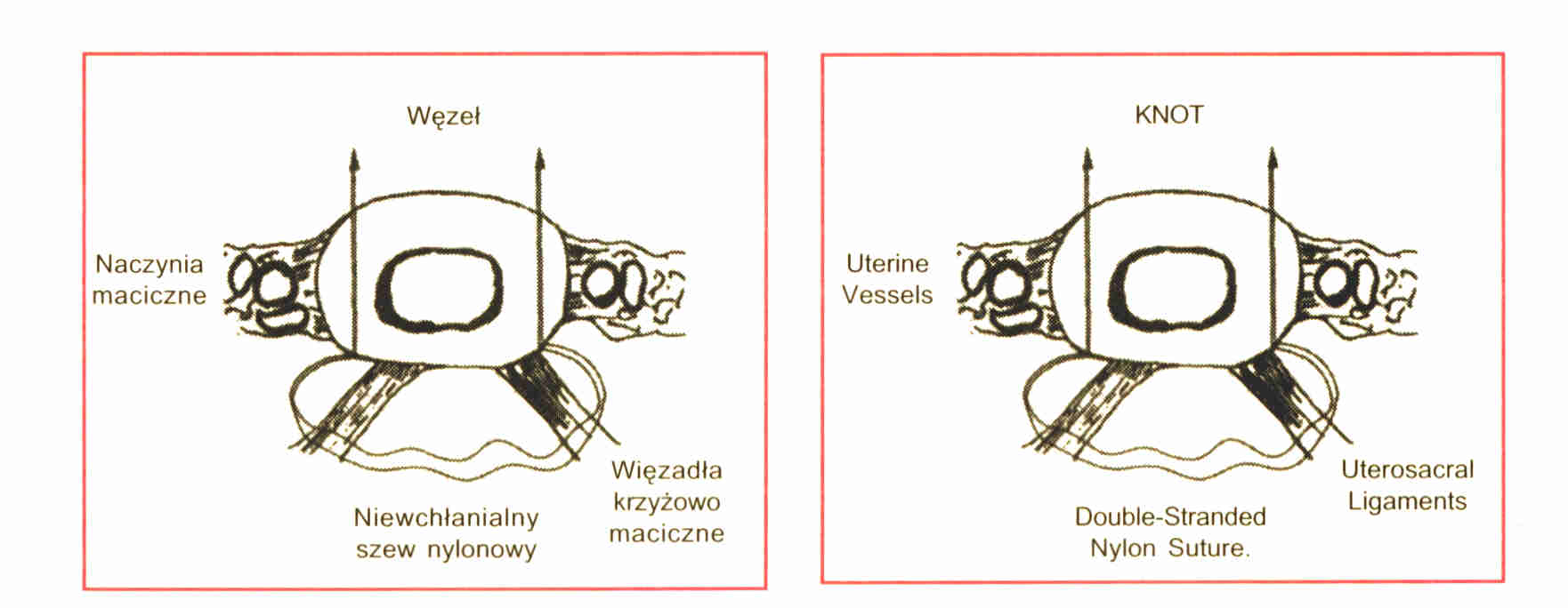 Ryc. 1