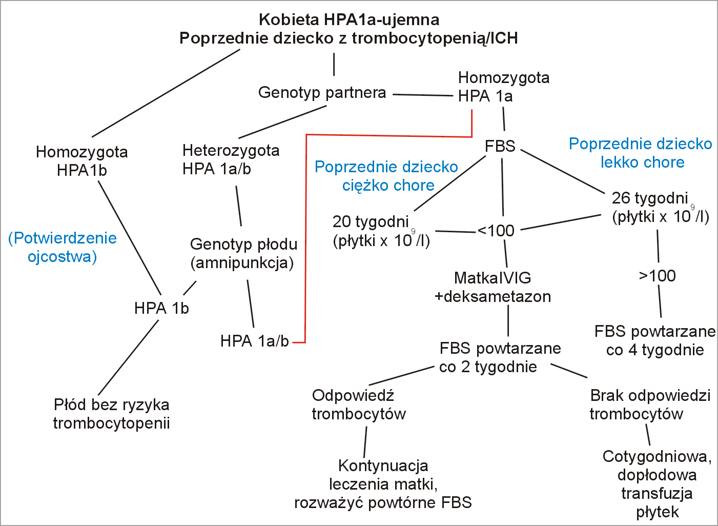  Ryc. 4. Schemat postępoiwania w przypadku kobiety HPA 1a - ujemnej, której poprzednie dziecko miało trombocytopenię i/l