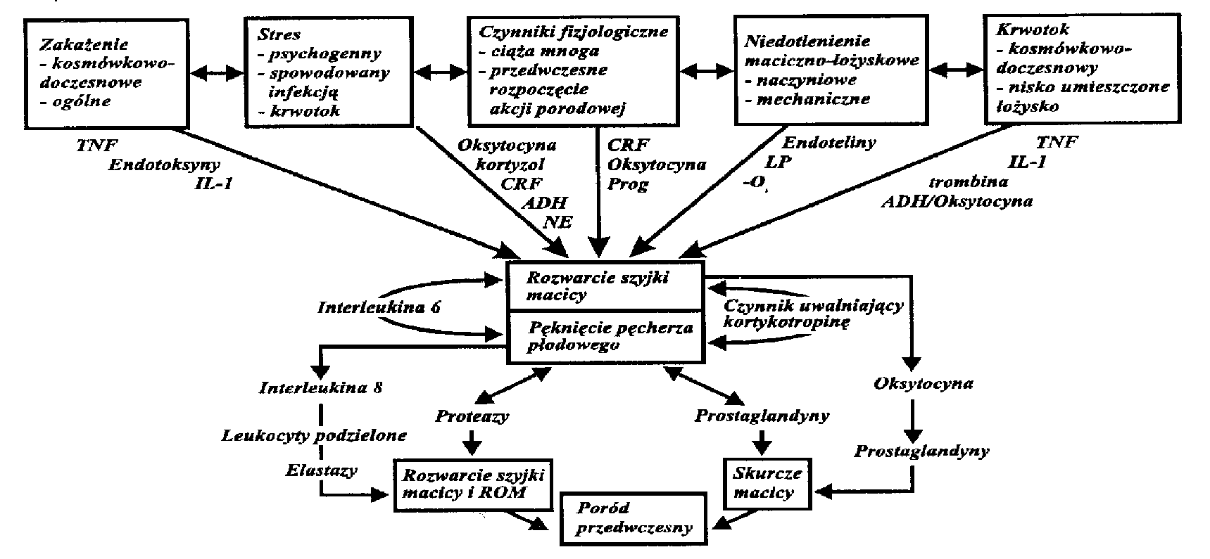  Ryc. 1. Etiologia porodu przedwczesnego 
