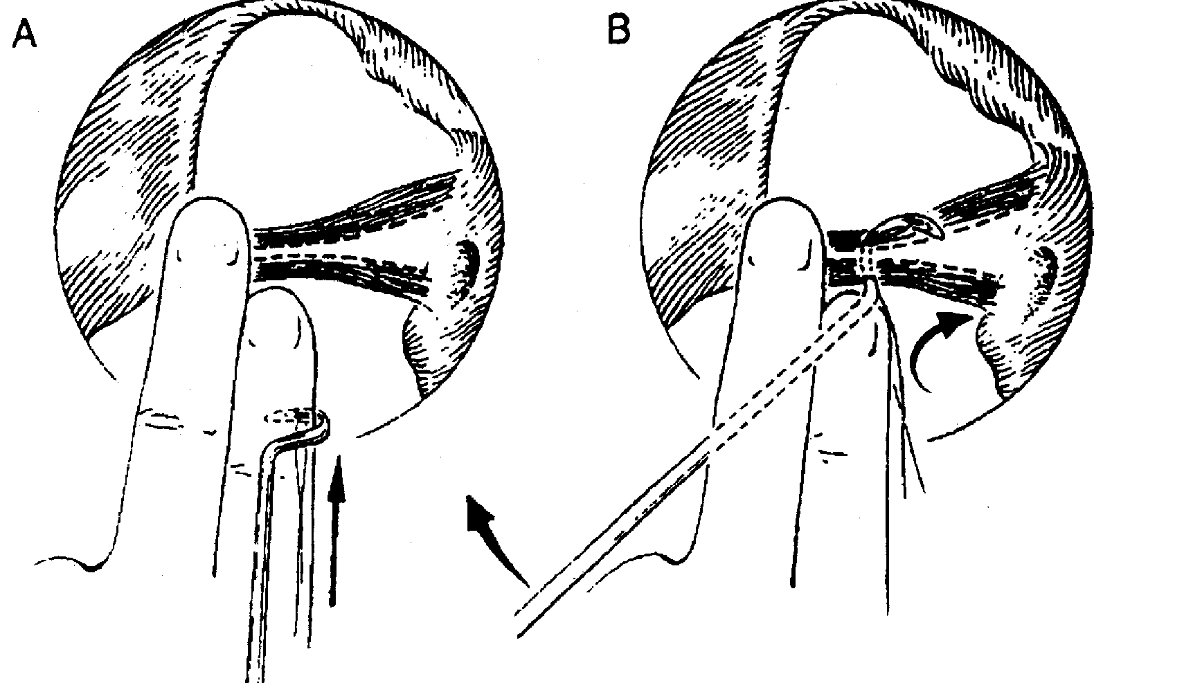 Ryc. 2