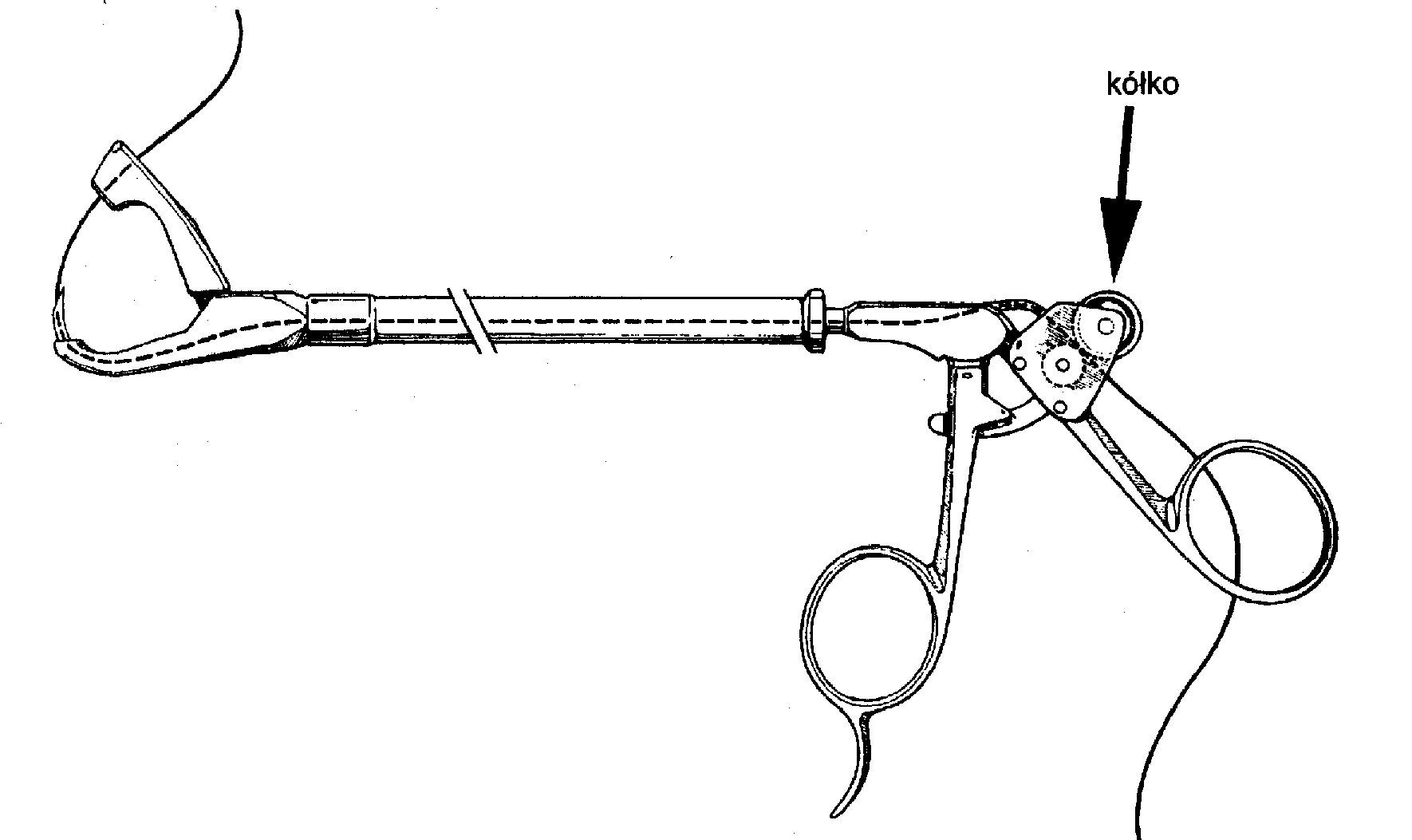 Ryc. 3