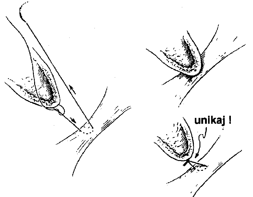 Ryc. 7