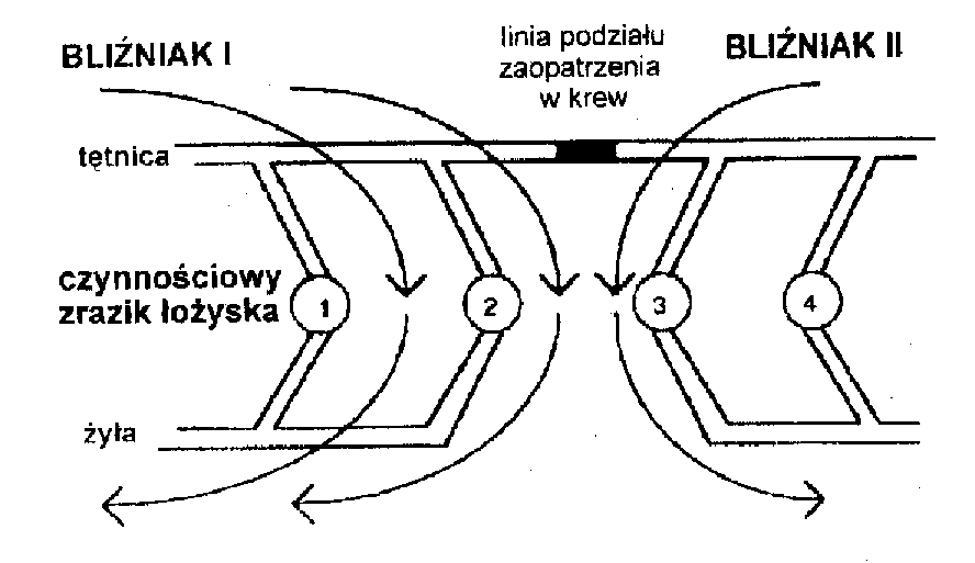 Ryc. 4