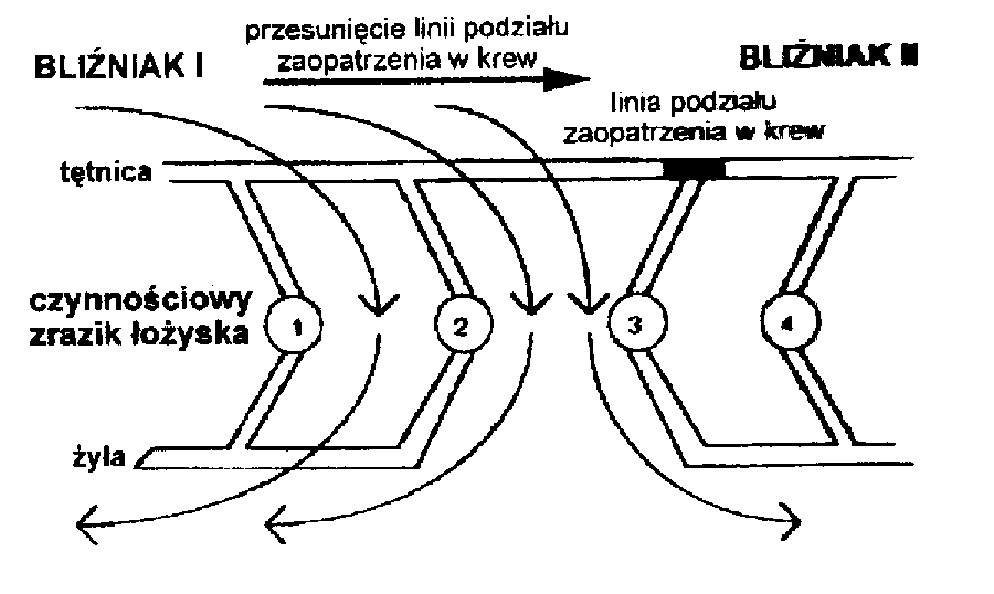 Ryc. 5