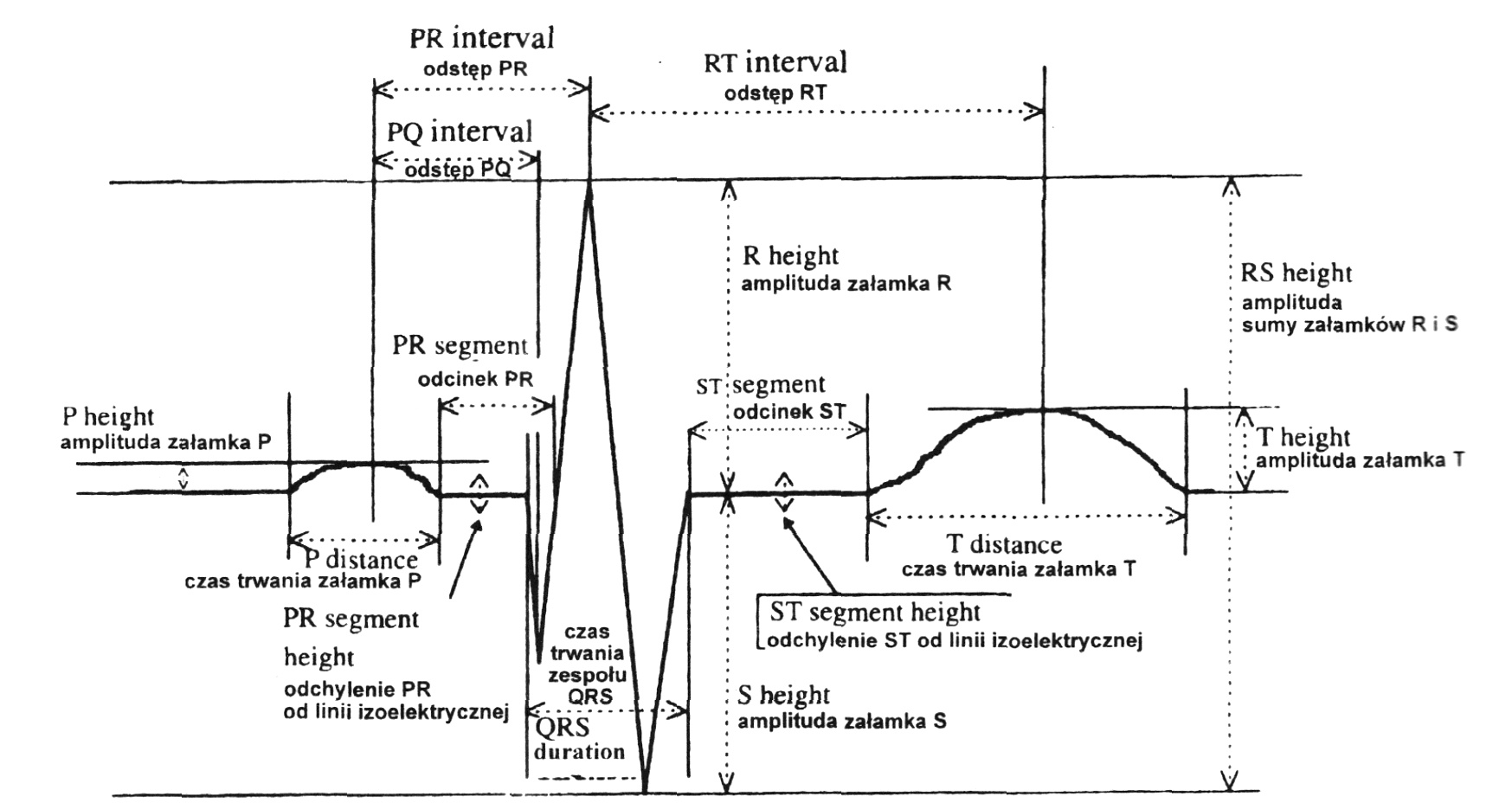 Ryc. 1