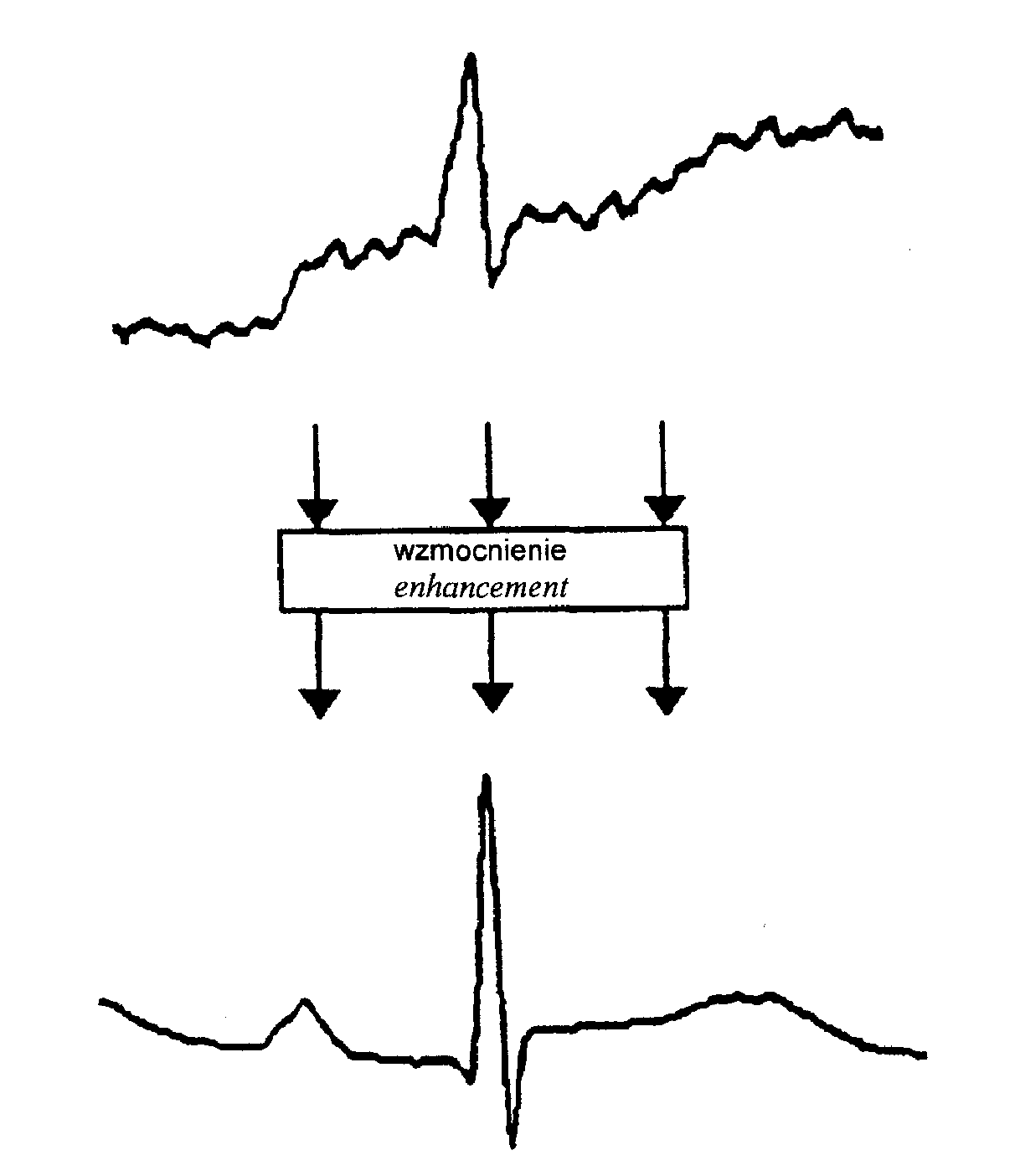 Ryc. 2