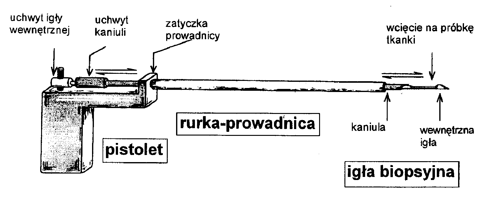 Ryc. 1 . Przyrząd do biopsji: igła biopsyjna, prosta, rurka-prowadnica z nierdzewnej stali, pistolet biopsyjny. Wewnętr