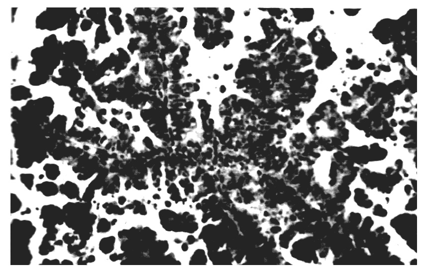 Ryc. 2