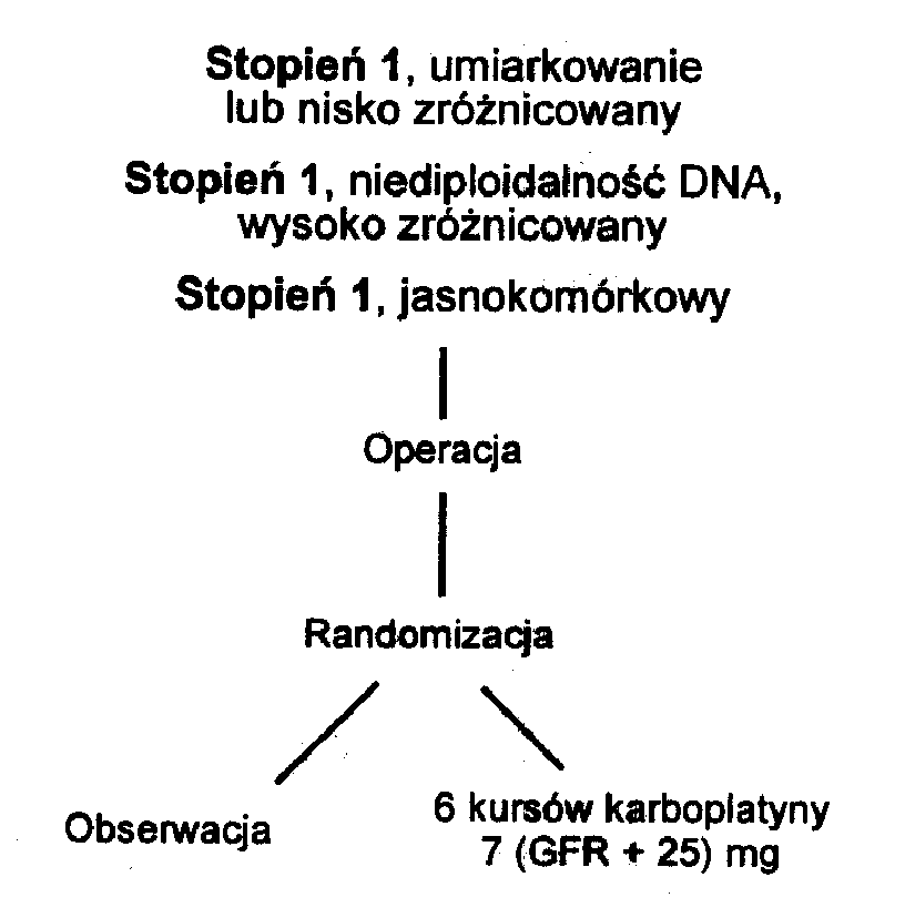  Ryc. 1. Skandynawsko-belgijskie badanie randomizowane terapii skojarzonej. Stopień J • rak jajnika. GFR - stopień filtr