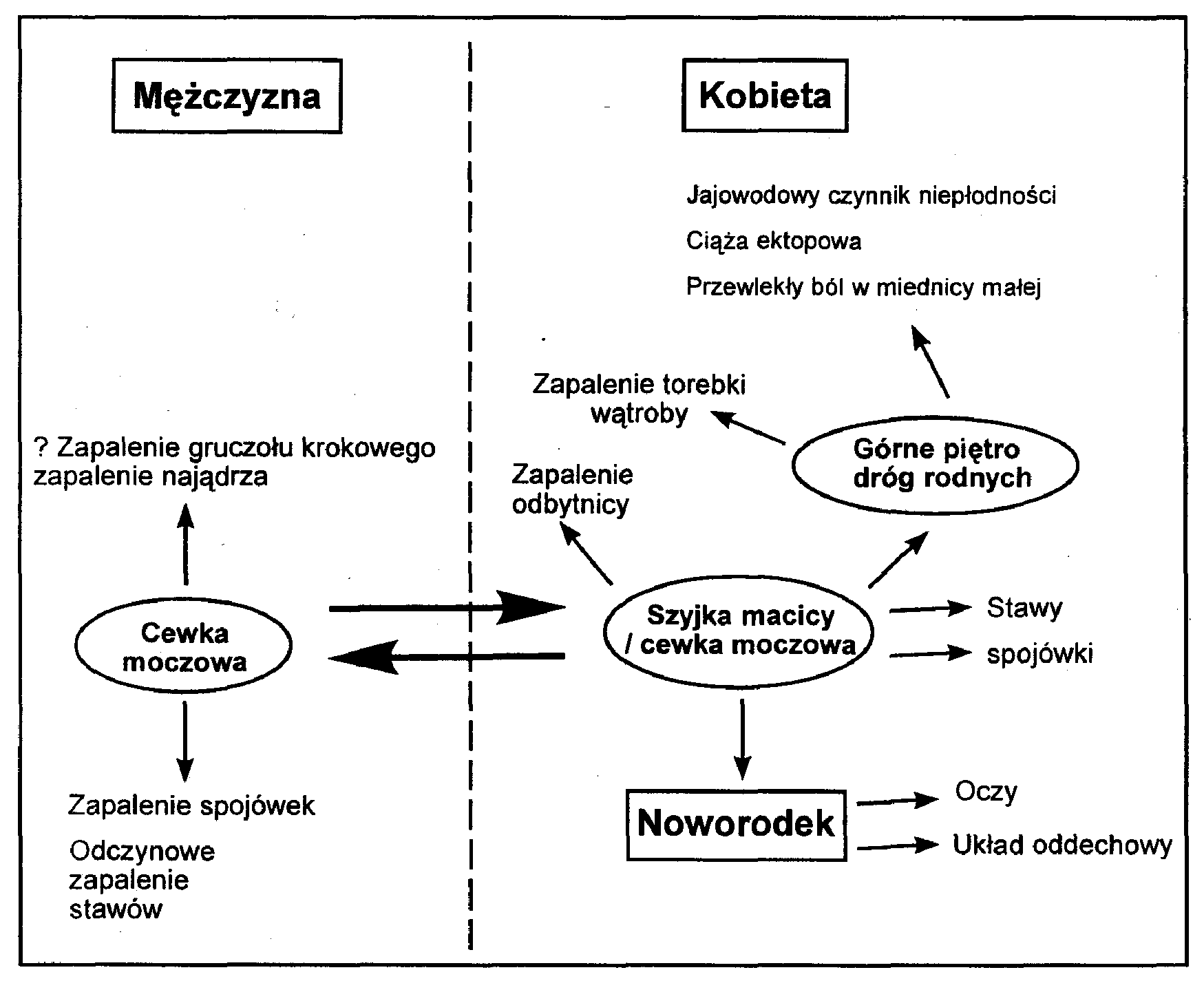  Ryc. 2. Liczba nowych zakażeń Chlamydia trachomatis stwierdzona w oddziałach ginekologiczna-urologicznych u mężczyzn i 