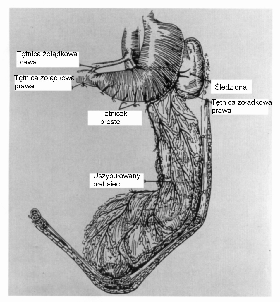 Ryc. 3