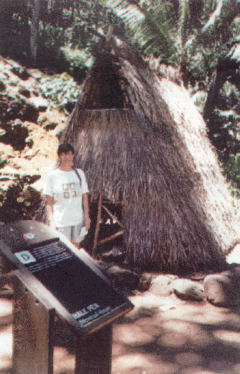 Ryc. 12