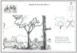 Ryc. 13