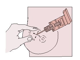 Ryc. 13