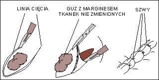 Ryc. 17