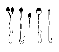 Ryc. 4